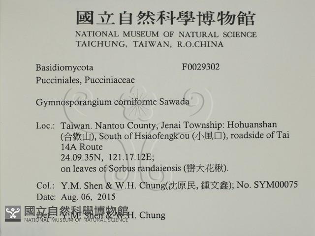 登錄號:F0029302藏品圖，第2張