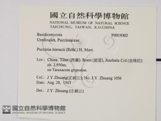 登錄號:F0019302藏品圖，第2張