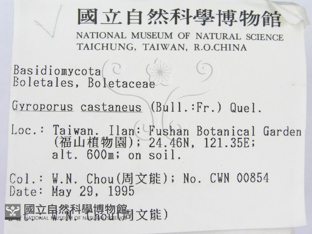 登錄號:F0003302藏品圖，第2張