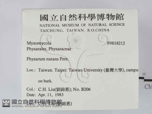 登錄號:F0018212藏品圖，第2張