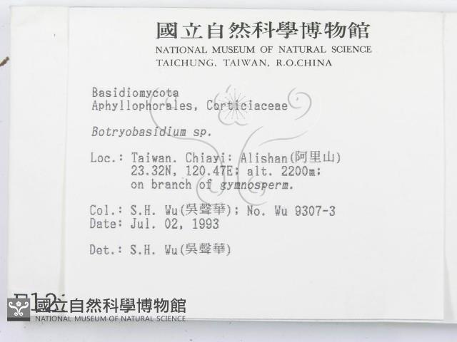 登錄號:F0001212藏品圖，第2張