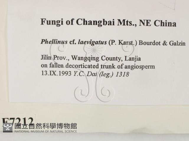 登錄號:F0007212藏品圖，第2張