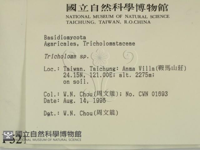 登錄號:F0005212藏品圖，第2張