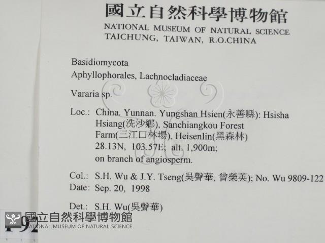 登錄號:F0009212藏品圖，第2張