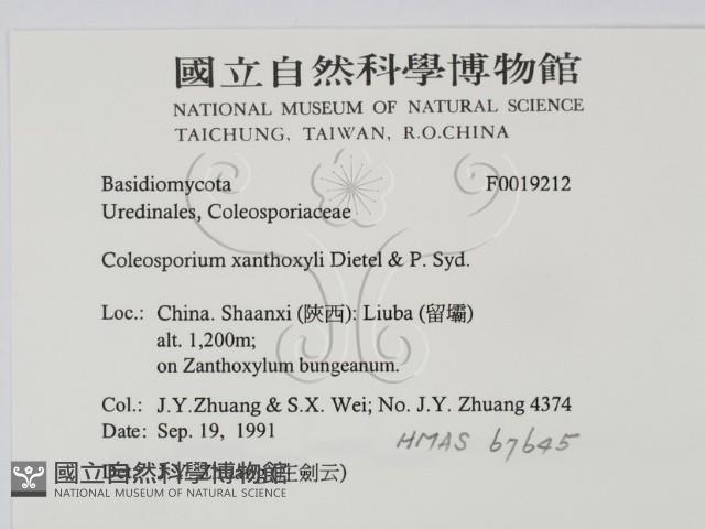 登錄號:F0019212藏品圖，第2張
