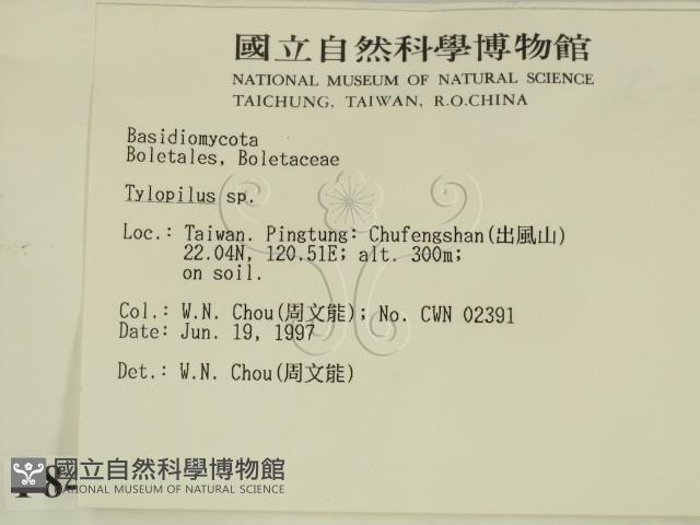 登錄號:F0008412藏品圖，第2張