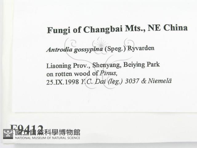 登錄號:F0009412藏品圖，第2張