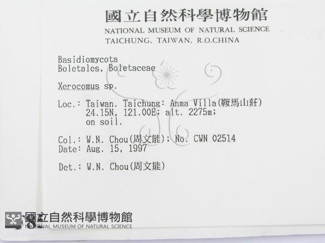 登錄號:F0008512藏品圖，第2張