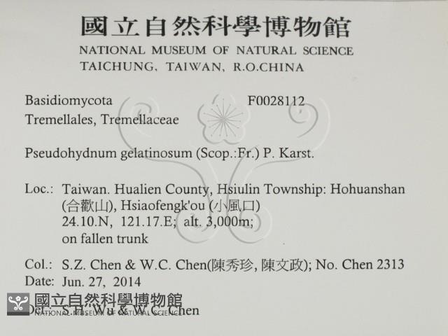 登錄號:F0028112藏品圖，第2張