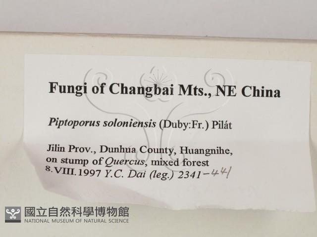 登錄號:F0008112藏品圖，第2張