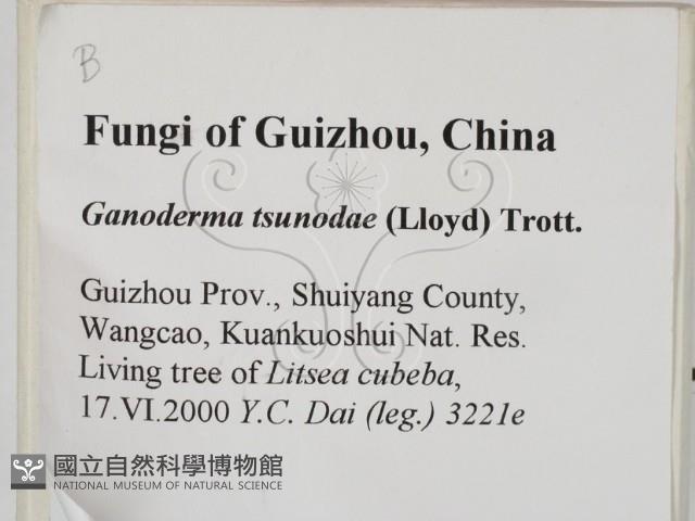 登錄號:F0014112藏品圖，第2張