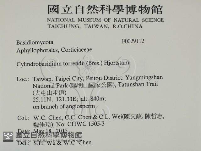 登錄號:F0029112藏品圖，第2張