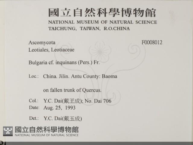 登錄號:F0008012藏品圖，第2張