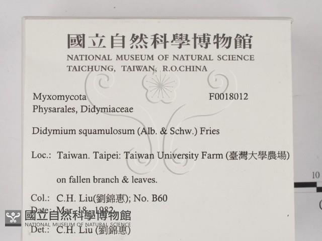 登錄號:F0018012藏品圖，第2張