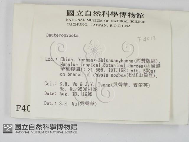 登錄號:F0004012藏品圖，第2張