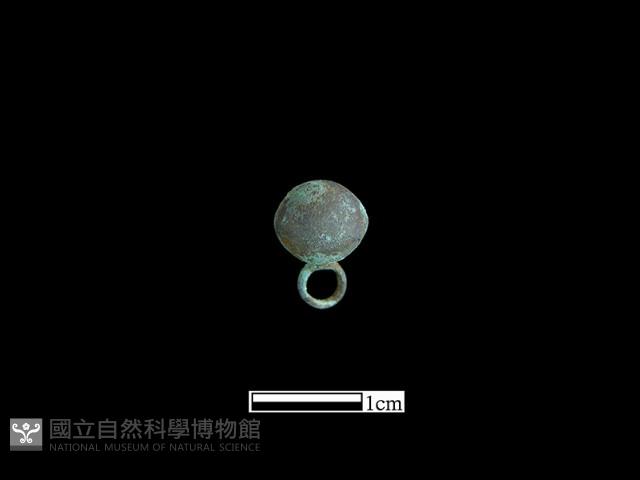 鈕子藏品圖，第2張