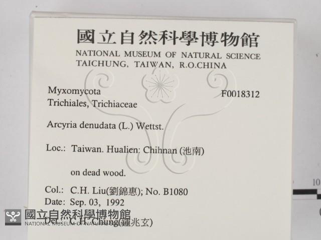 登錄號:F0018312藏品圖，第2張