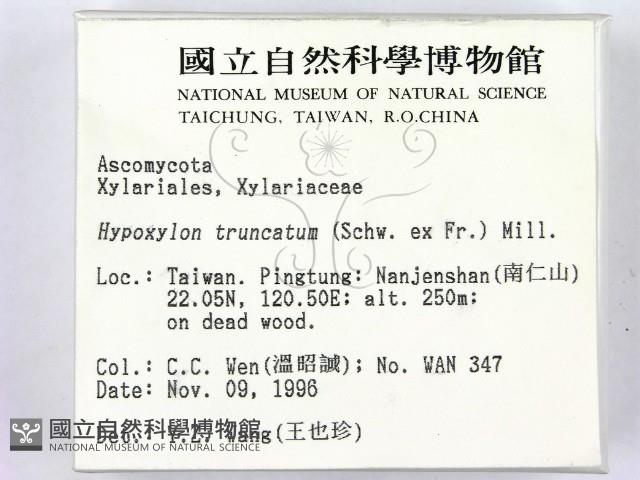 登錄號:F0005312藏品圖，第2張