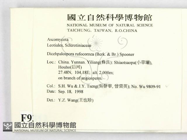 登錄號:F0009312藏品圖，第2張