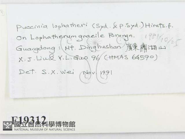 登錄號:F0019312藏品圖，第2張