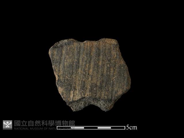 陶片藏品圖，第2張