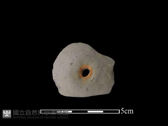 紡輪藏品圖，第1張