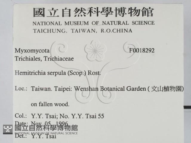 登錄號:F0018292藏品圖，第2張