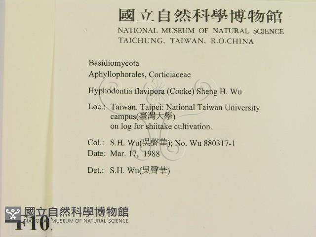 登錄號:F0010292藏品圖，第2張