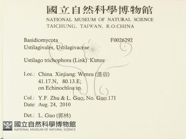 登錄號:F0026292藏品圖，第2張