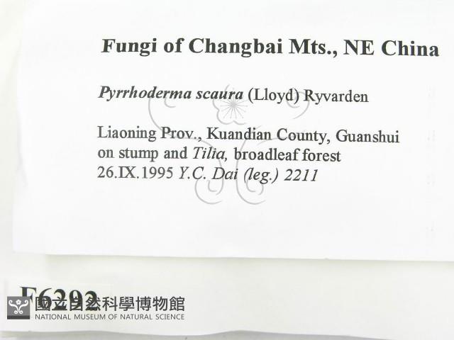 登錄號:F0006292藏品圖，第2張