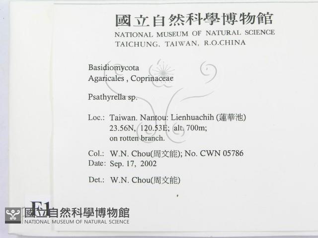 登錄號:F0016292藏品圖，第2張