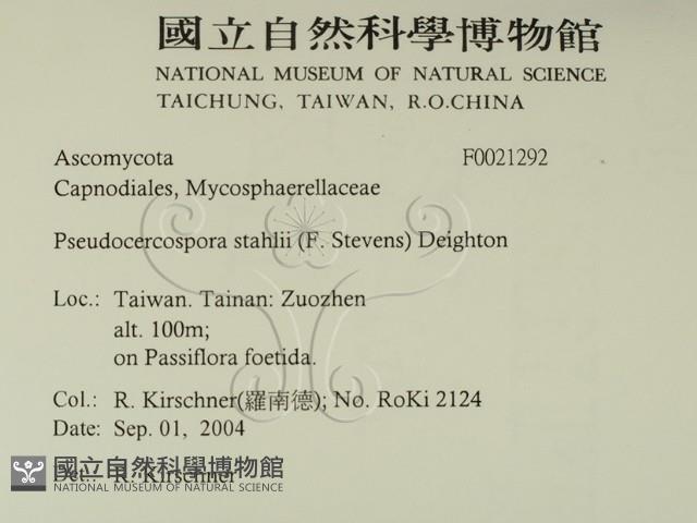 登錄號:F0021292藏品圖，第2張