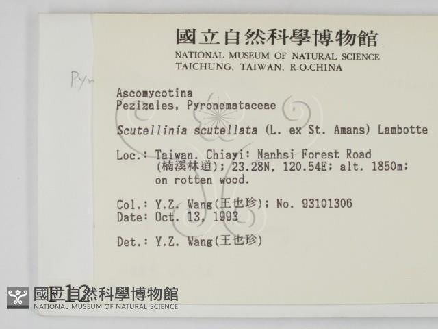 登錄號:F0001292藏品圖，第2張