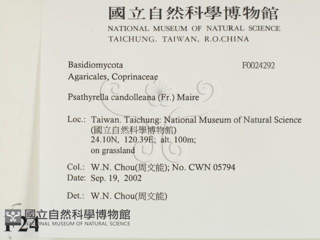 登錄號:F0024292藏品圖，第2張