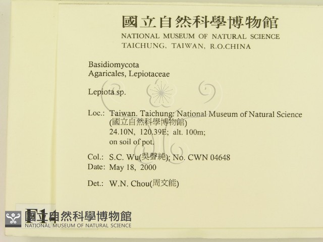 登錄號:F0014292藏品圖，第2張