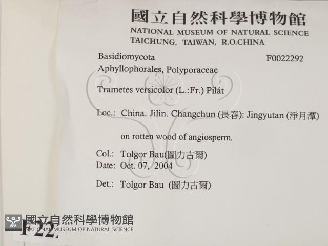 雲芝藏品圖，第2張