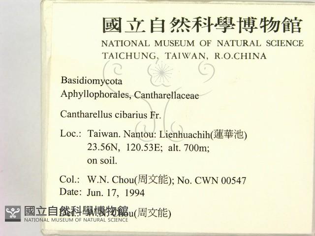 登錄號:F0002292藏品圖，第2張