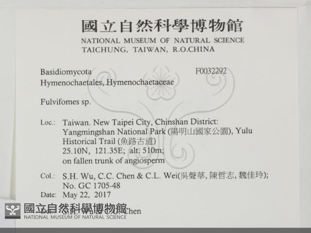 登錄號:F0032292藏品圖，第2張