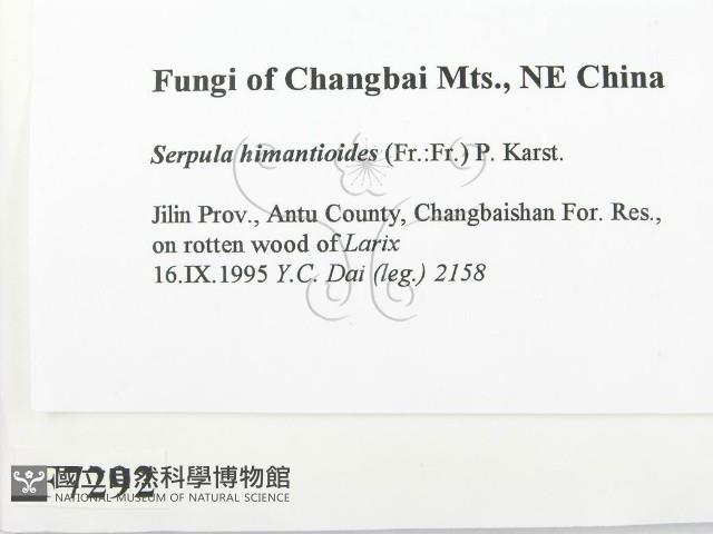 登錄號:F0007292藏品圖，第2張