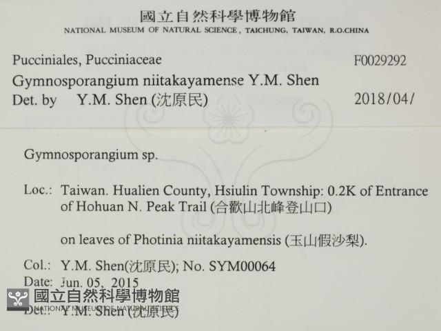 登錄號:F0029292藏品圖，第2張