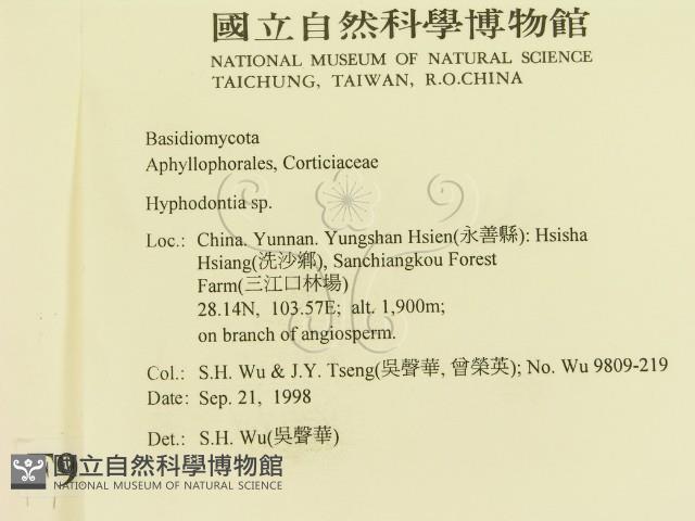 登錄號:F0009292藏品圖，第2張