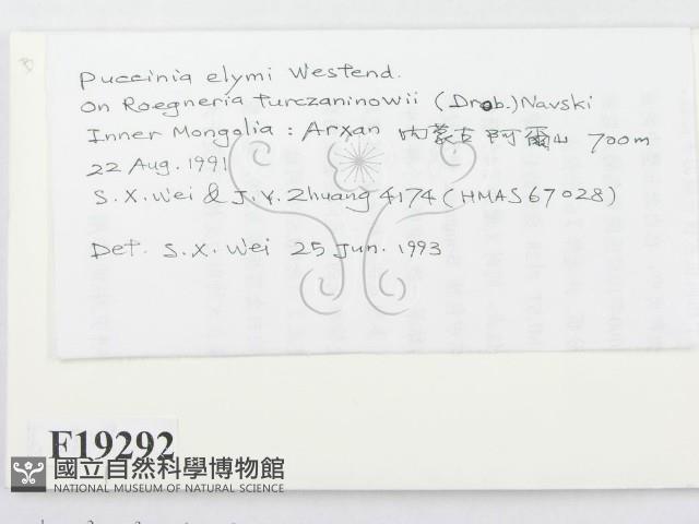 登錄號:F0019292藏品圖，第2張