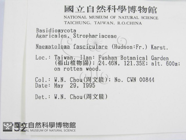 登錄號:F0003292藏品圖，第2張