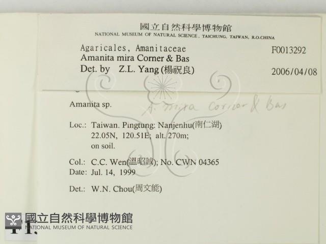 登錄號:F0013292藏品圖，第2張