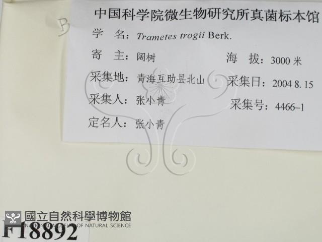 登錄號:F0018892藏品圖，第2張