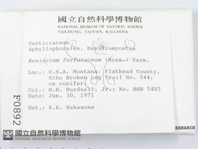登錄號:F0000892藏品圖，第2張