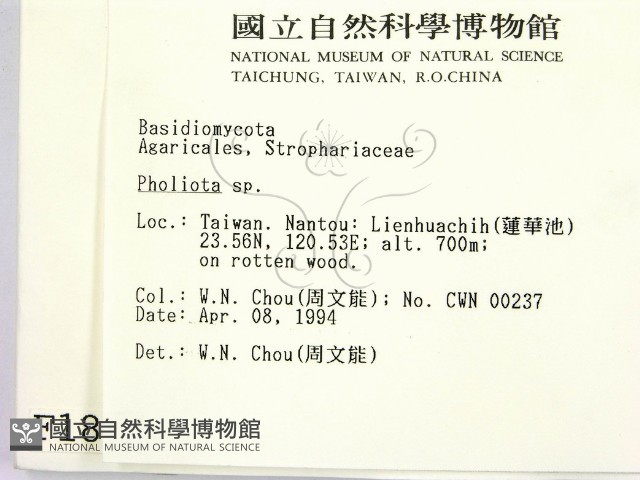 登錄號:F0001892藏品圖，第2張