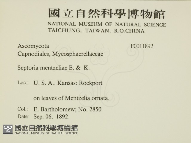 登錄號:F0011892藏品圖，第2張