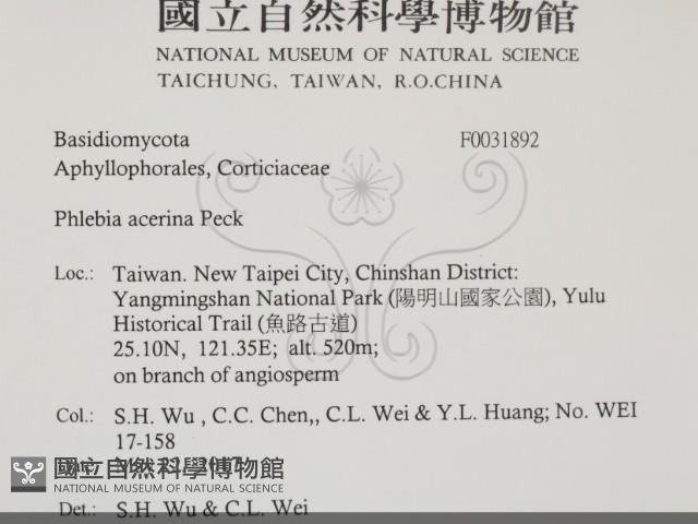 登錄號:F0031892藏品圖，第2張