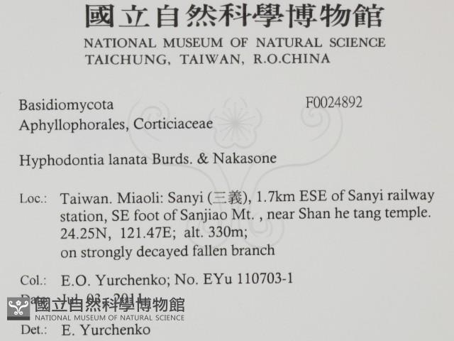 登錄號:F0024892藏品圖，第2張